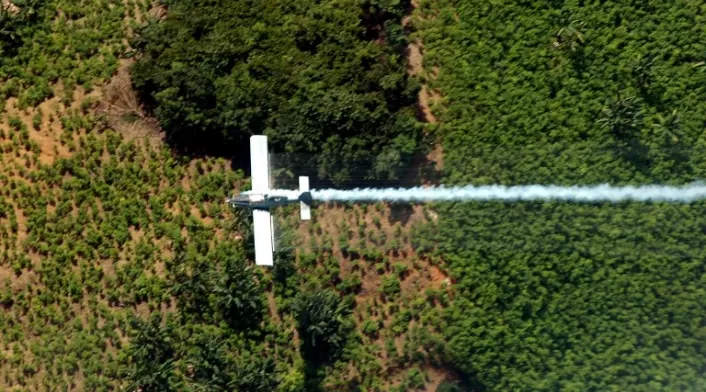 Fumigación aérea de cultivos ilícitos en Tumaco (Nariño)