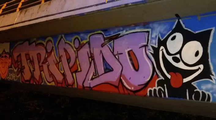 GRAFITERO DIEGO FELIPE BECERRA