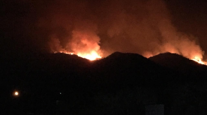 Incendio Forestal Incendio Forestal