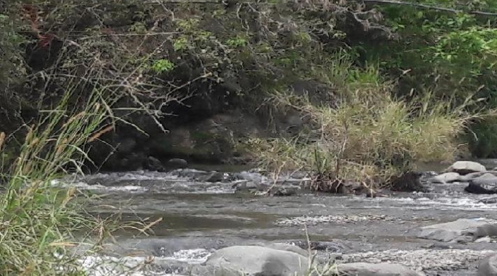 Emcali asegurò que el agua no contiene mercurio