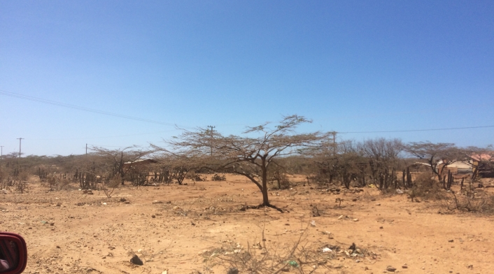 La Guajira. Fenómeno de El Niño.