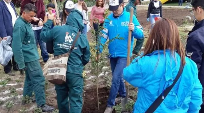 Siembra de árboles en Bogotá