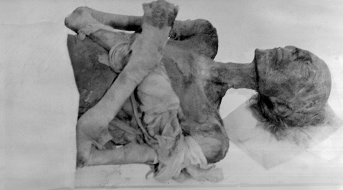 faraón egipcio Ramsés II