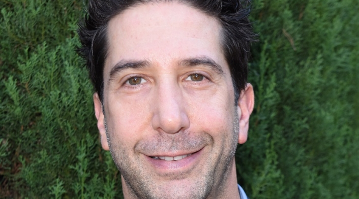 David Schwimmer David Schwimmer