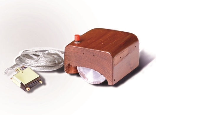Este es el primer mouse