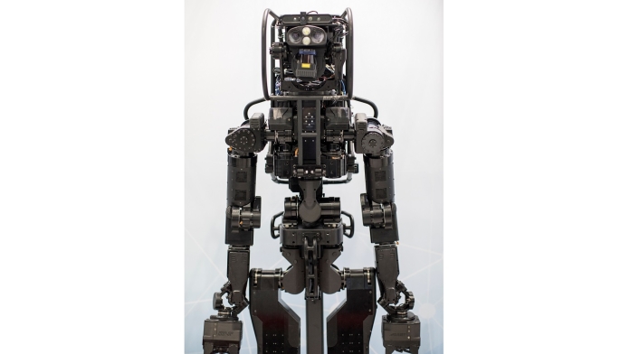 Robots utilitarios en Japón