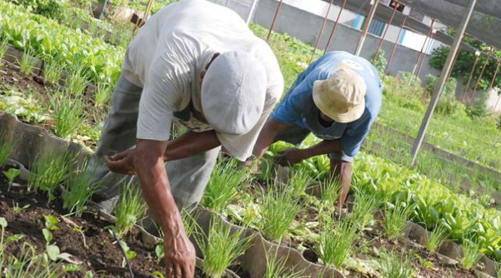Agricultores