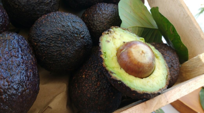 Aguacate hass