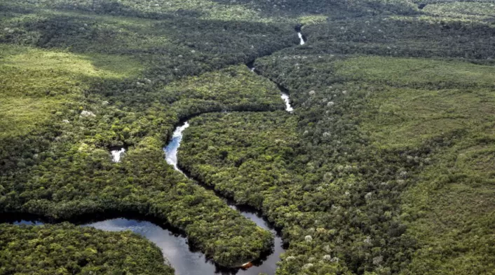 Deforestación en la Amazonía Deforestación en la Amazonía