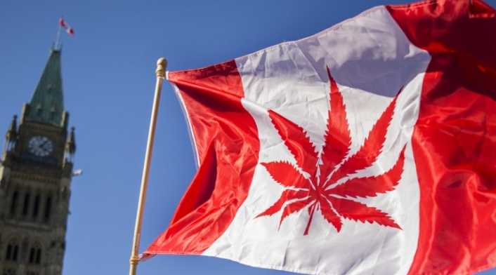 Profesiones para obtener la residencia en Canadá en seis meses