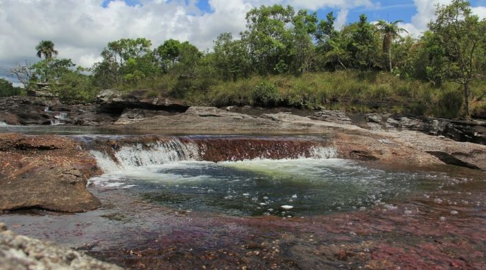 Caño cristales Caño cristales