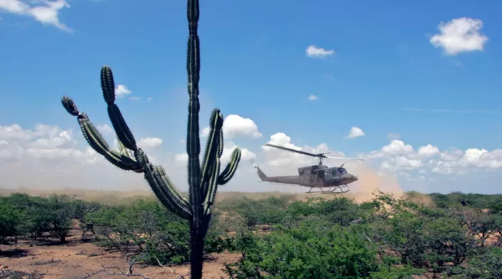 Helicóptero