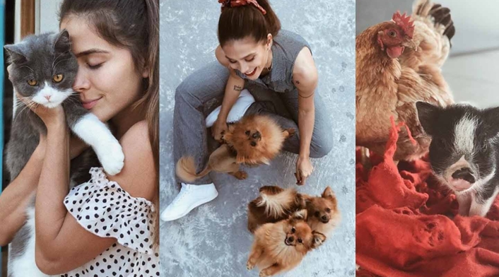La famosa cantante colombiana ha ganado reconocimiento en redes sociales y en distintos medios, no solo por su talento y belleza, sino por la variedad de mascotas que tiene en su hogar. La artista tiene varios gatos, perros, pollos, gallinas y hasta un mini pig.