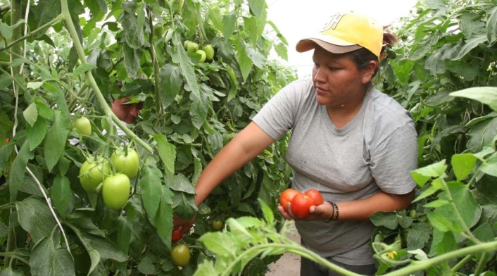 Mujeres campesinas Mujeres campesinas