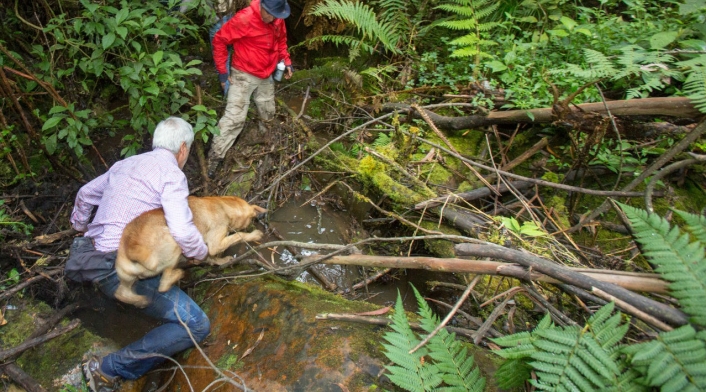 Enrique Peñalosa perdido en los cerros orientales de Bogotá Enrique Peñalosa perdido en los cerros orientales de Bogotá