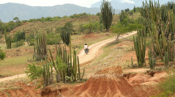 Desierto de La Tatacoa Desierto de La Tatacoa