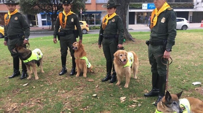 Perros héroes de la Policía que están puestos en adopción.