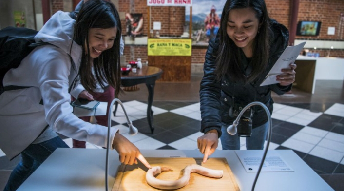 Museo de comida asquerosa