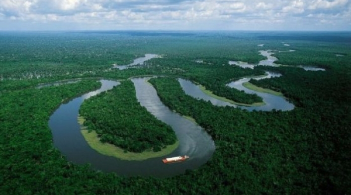 Se han lanzado varios SOS por la protección de la Amazonía.