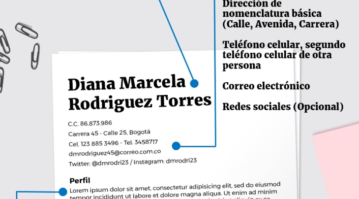Infografía Hoja de vida