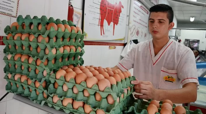 Comerciante de huevos