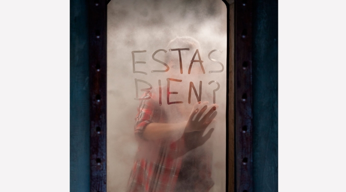 La cara oculta (2012)