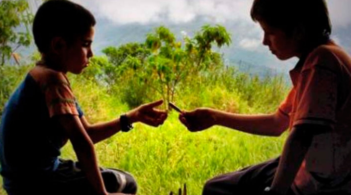 Los colores de la montaña (2011)