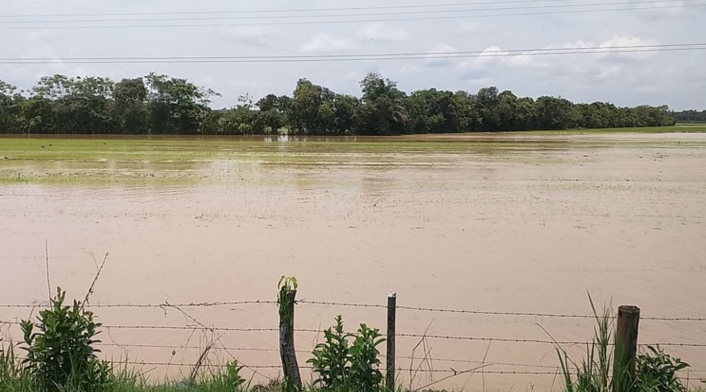 Río Meta Río Meta