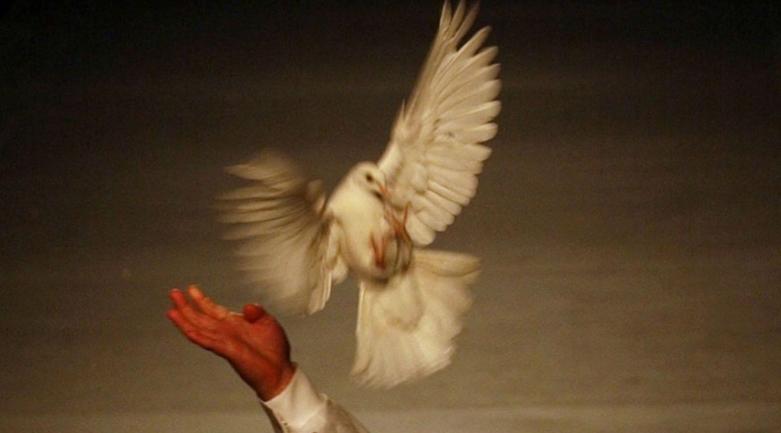 Las palomas mensajeras son una práctica ancestral en Alemania.