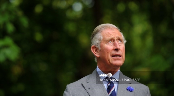 El príncipe Carlos nació en 1948 y fue un bebé británico normal. Sin embargo, se convirtió en príncipe desde el momento de su nacimiento. La reina Isabel II proviene de la dinastía Windsor, de la aristocracia de Europa continental.