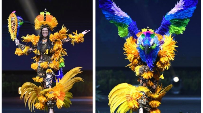 Traje típico de Mayra Dias, Miss Brazil