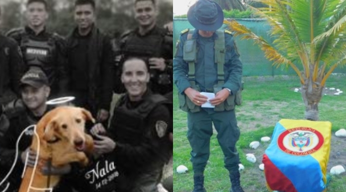 Despedida de Nala