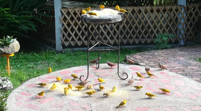 Animales que habitan el Agro Parque Sabio Mutis