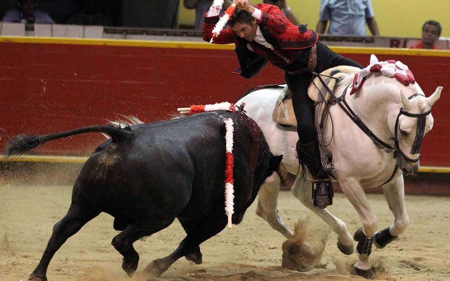 Feria taurina de la macarena, en Medellin