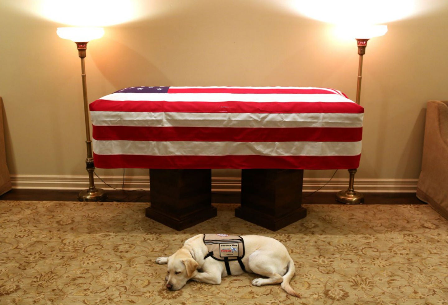 Sully, el perro de George H. W. Bush