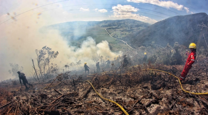 Incendio forestal. Imagen de referencia. Incendio forestal. Imagen de referencia.
