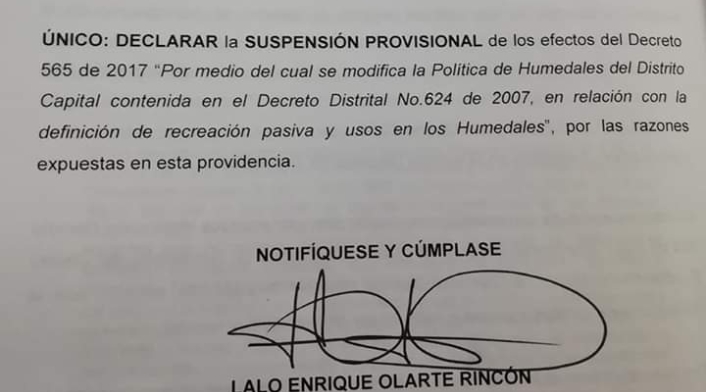 Fallo juez