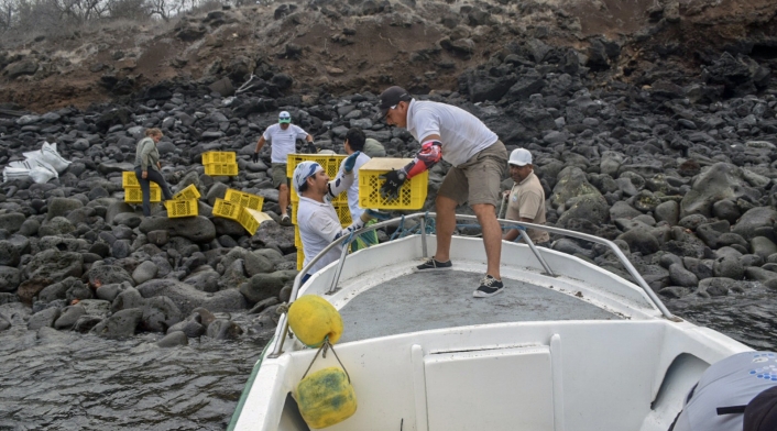 Liberación islas galápagos