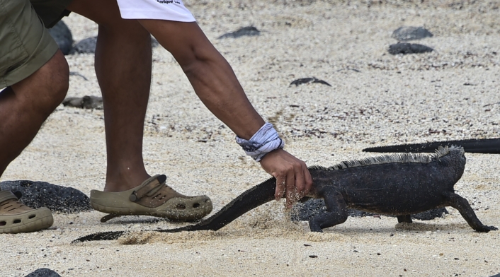 Protección islas galápagos