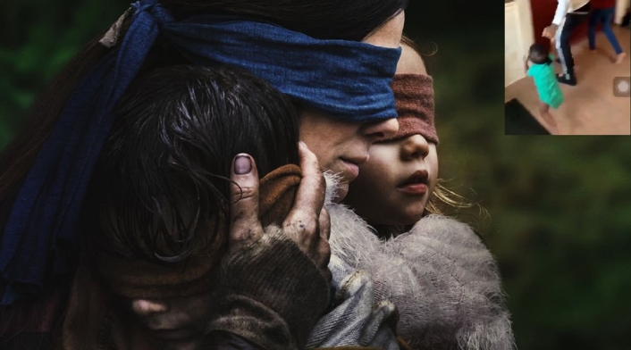 Bird Box