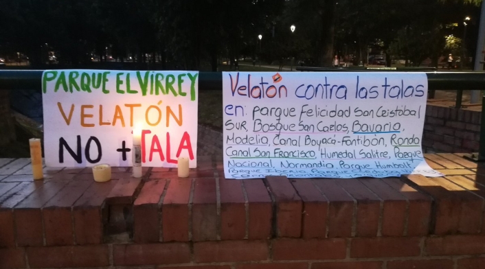 Protesta contra la tala de árboles en Bogotá Protesta contra la tala de árboles en Bogotá