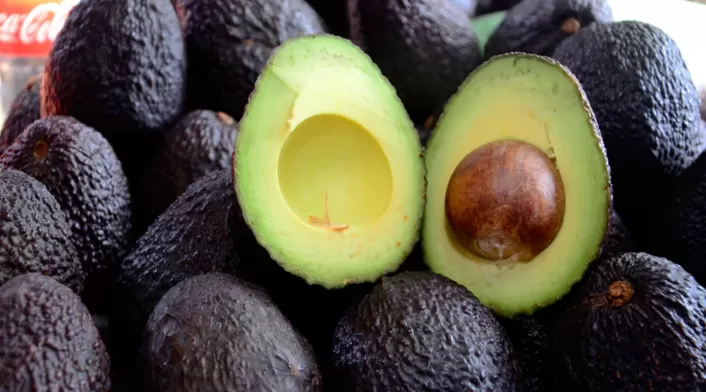 El Super Bowl, el evento No.1 del deporte estadounidense, será clave para las exportaciones de aguacate en Colombia.