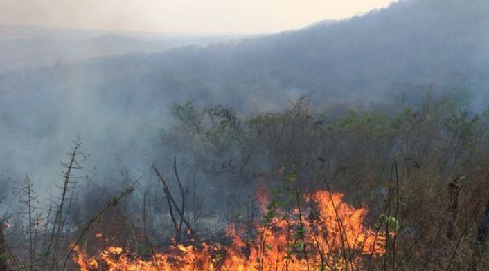 Los incendios han sido controlados por los bomberos.