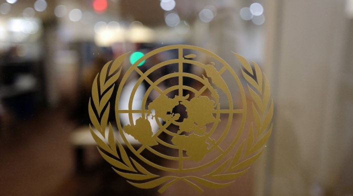 Organización de las Naciones Unidas (ONU)