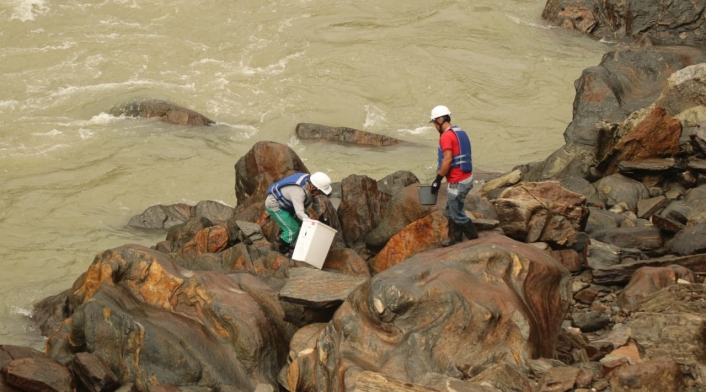 El rescate de peces en el río Cauca hecho por empleados de EPM