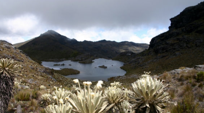 Los gobernadores pretenden establecer un acuerdo que llevará a la protección de los ecosistemas.