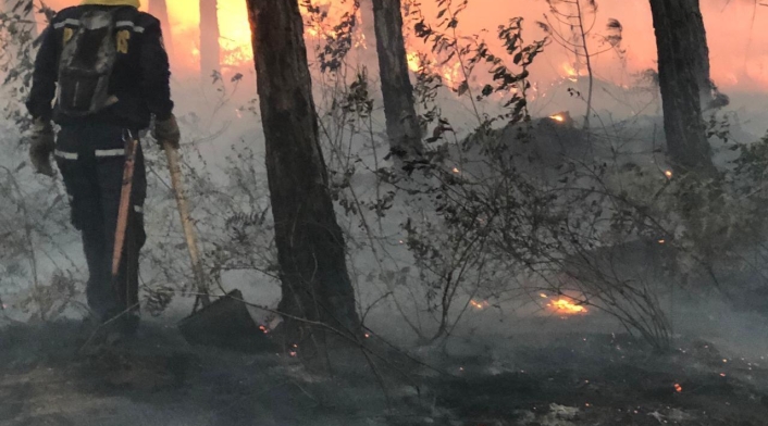 Un gigantesco incendio, ocasionado por pirómanos, se registra a esta hora en el cerro Quitasol de Bello
