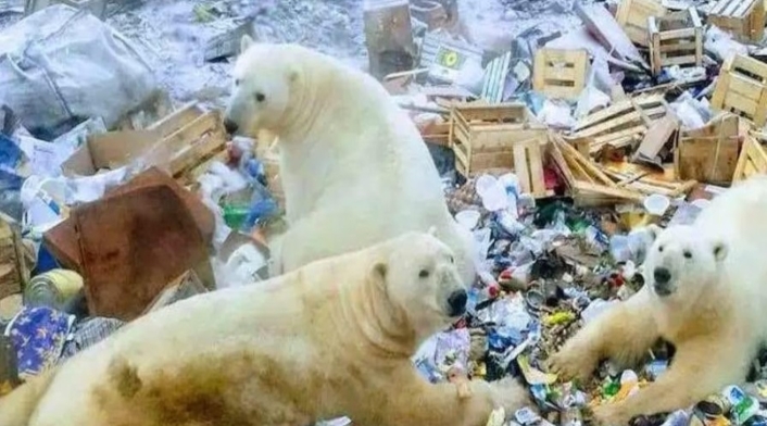 Contaminación