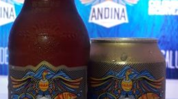 Andina 1