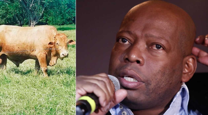 Faustino Asprilla y la denuncia que hizo a través de Twitter por el robo de su ganado